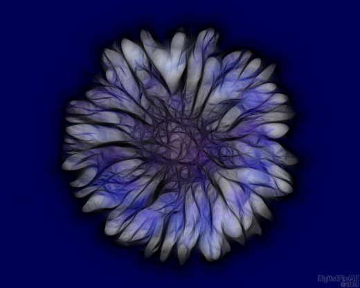 18636 (a): :1280x1024